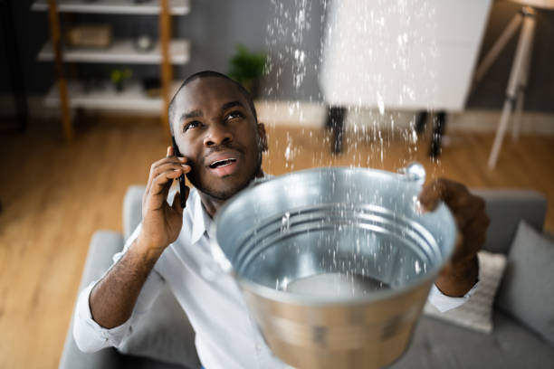 Best Flood damage cleanup  in Hopelawn, NJ