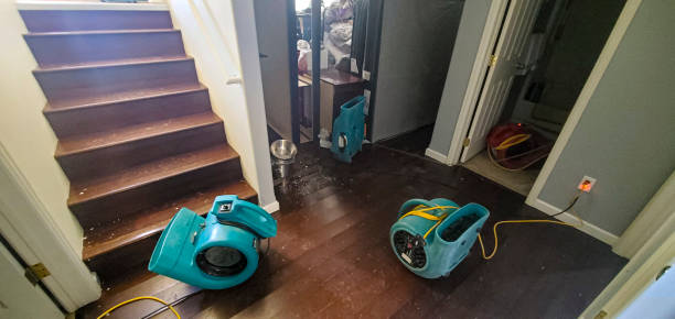 Best Local water damage restoration  in Hopelawn, NJ