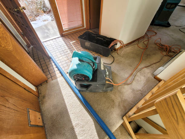 Best Basement water damage restoration  in Hopelawn, NJ