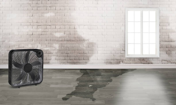 Best Professional water damage repair  in Hopelawn, NJ