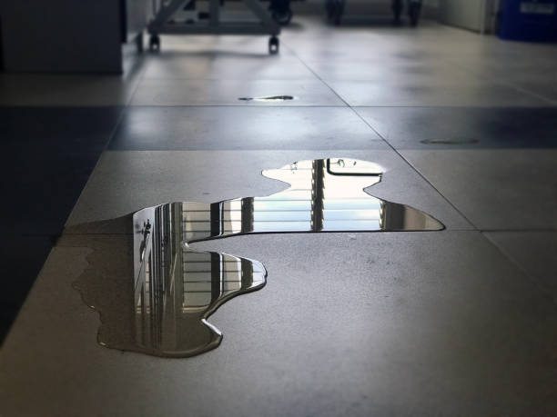 Best Commercial water damage restoration  in Hopelawn, NJ