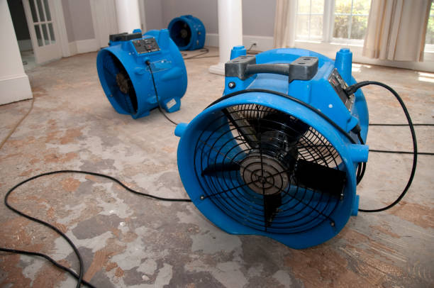 Best Flood damage cleanup  in Hopelawn, NJ